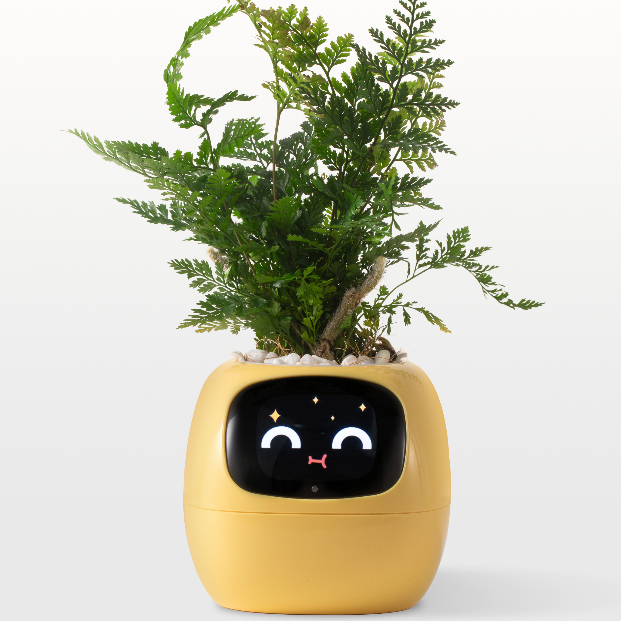 EmojiPlant | Kreativ Emoji Blomsterkrukke-zarada.dk