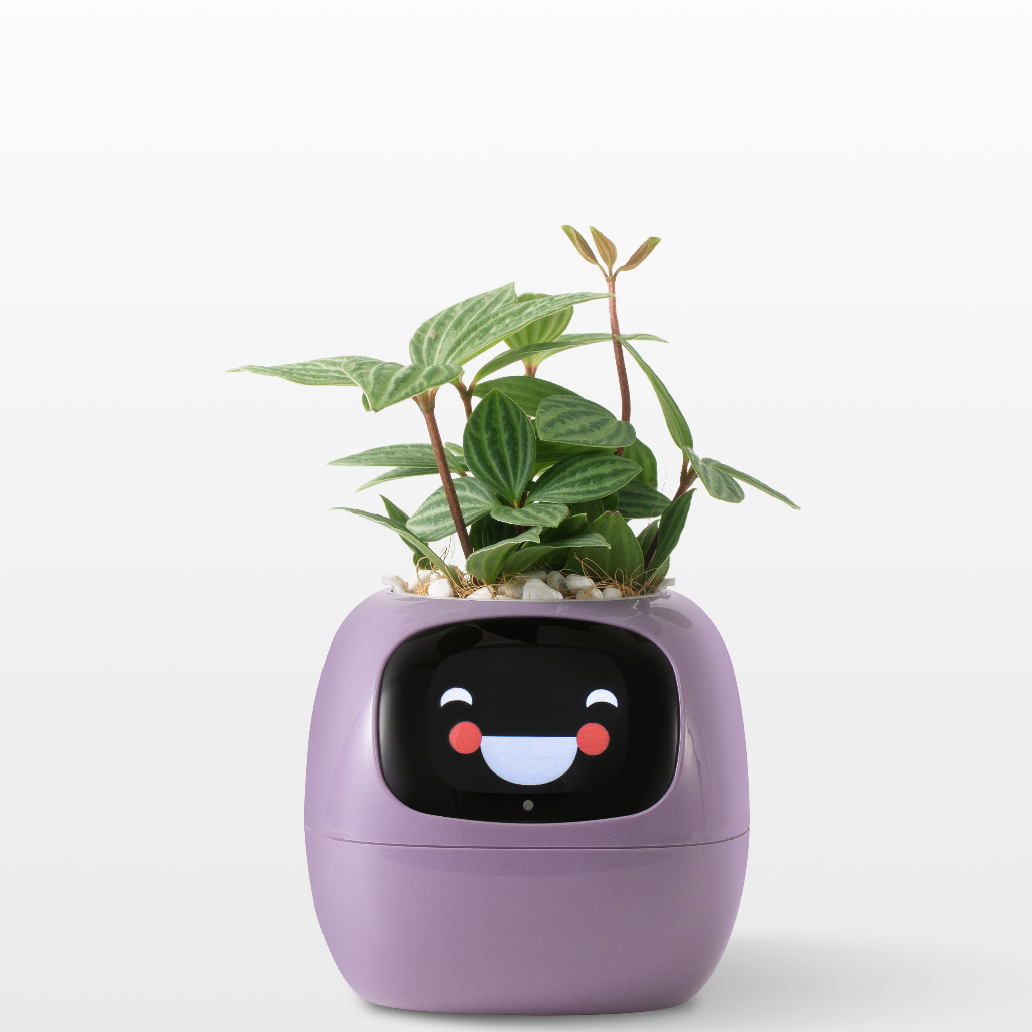 EmojiPlant | Kreativ Emoji Blomsterkrukke-zarada.dk