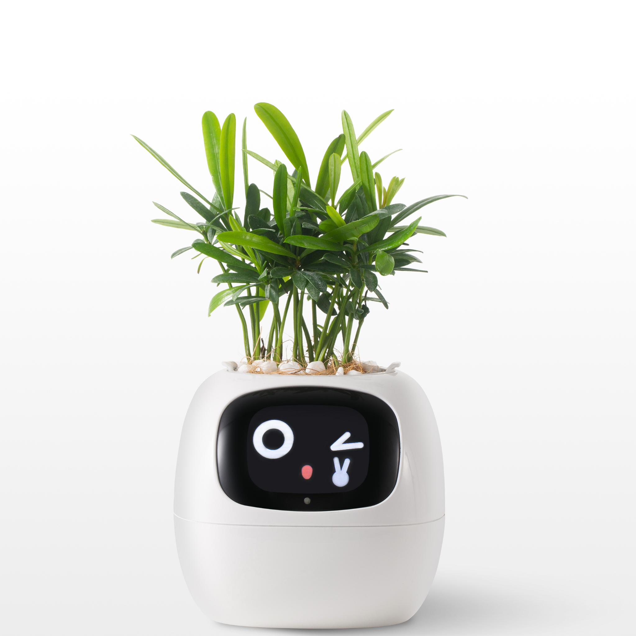 EmojiPlant | Kreativ Emoji Blomsterkrukke-zarada.dk