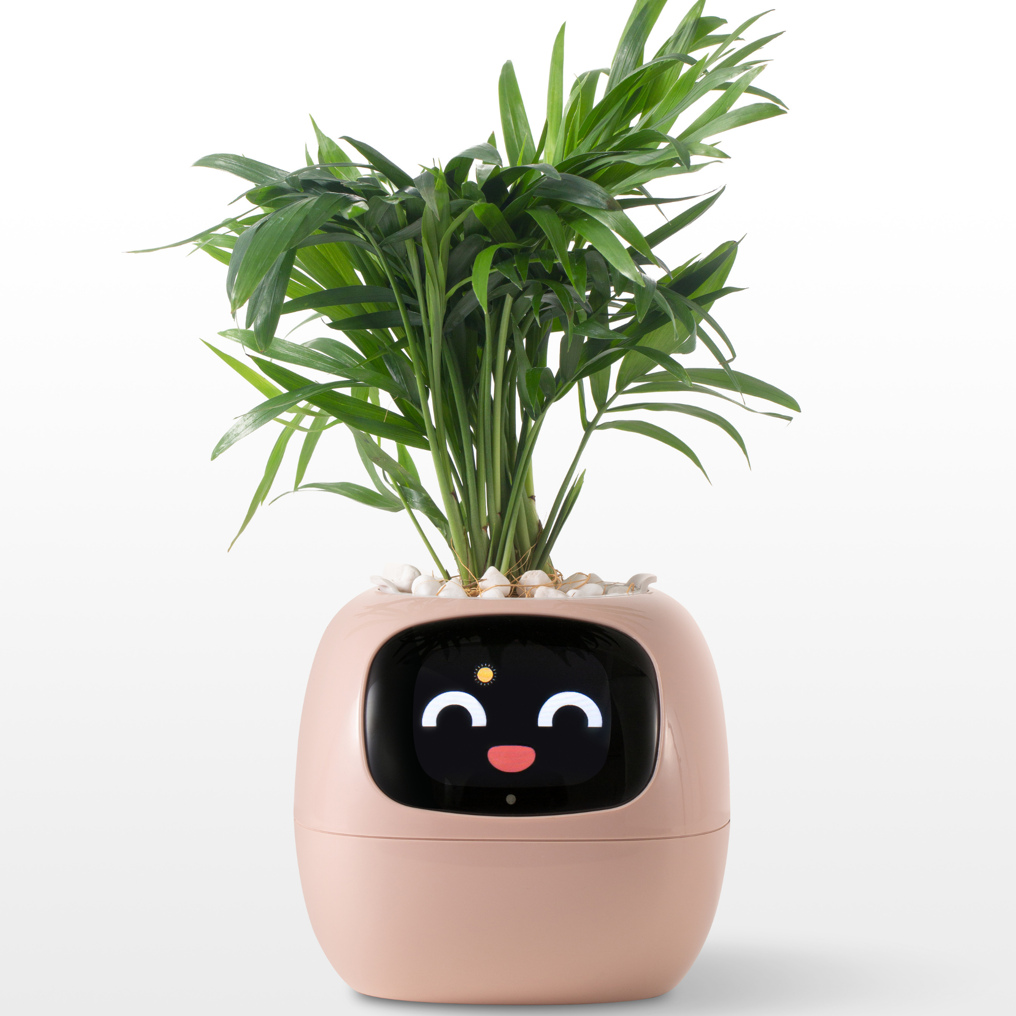 EmojiPlant | Kreativ Emoji Blomsterkrukke-zarada.dk