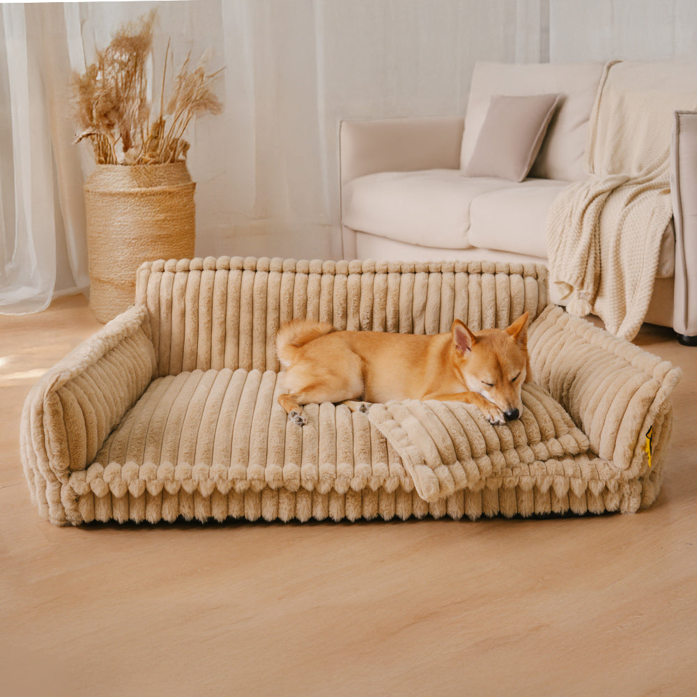 PawCushion | vaskbar ortopædisk hundesofa til kæledyr-zarada.dk