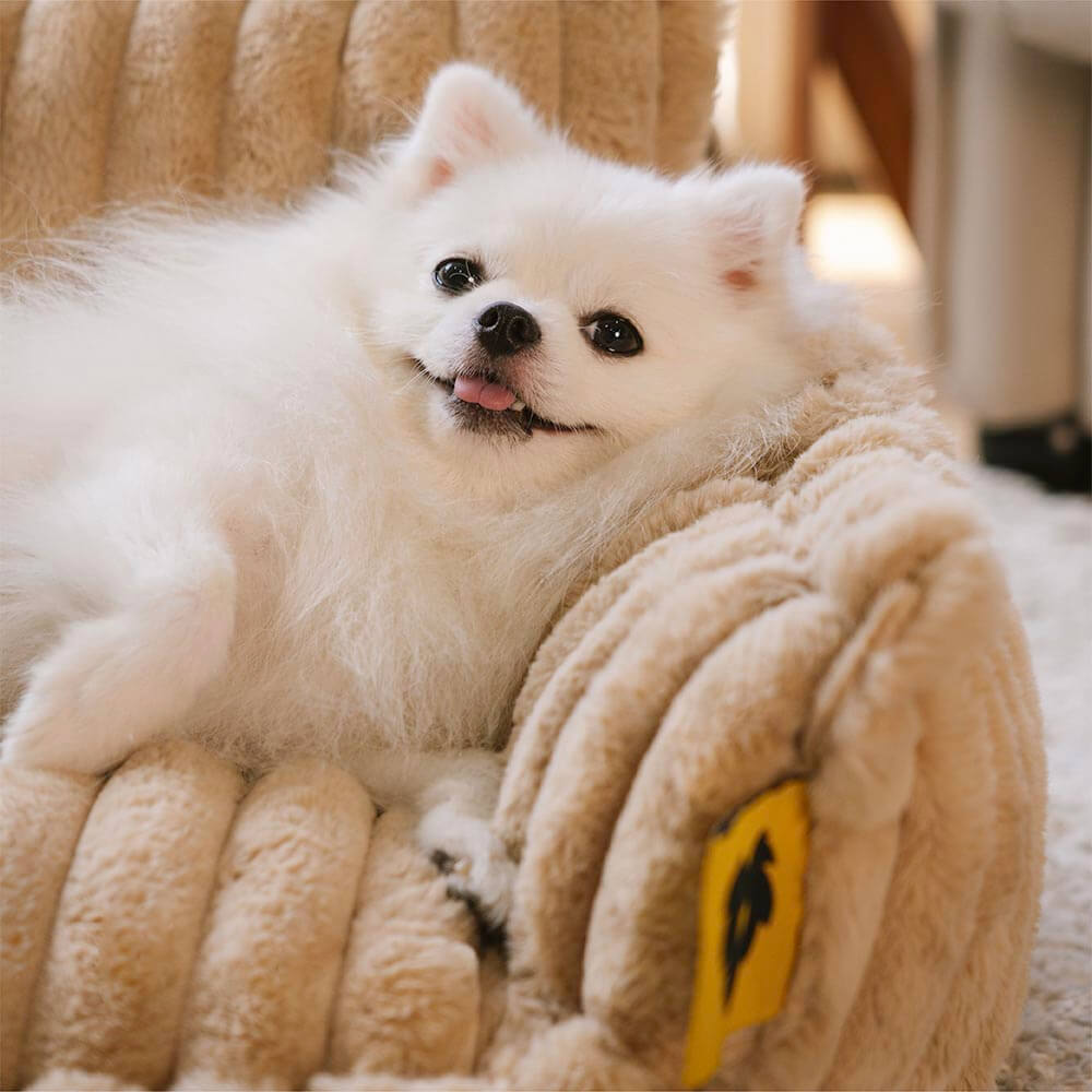 PawCushion | vaskbar ortopædisk hundesofa til kæledyr-zarada.dk