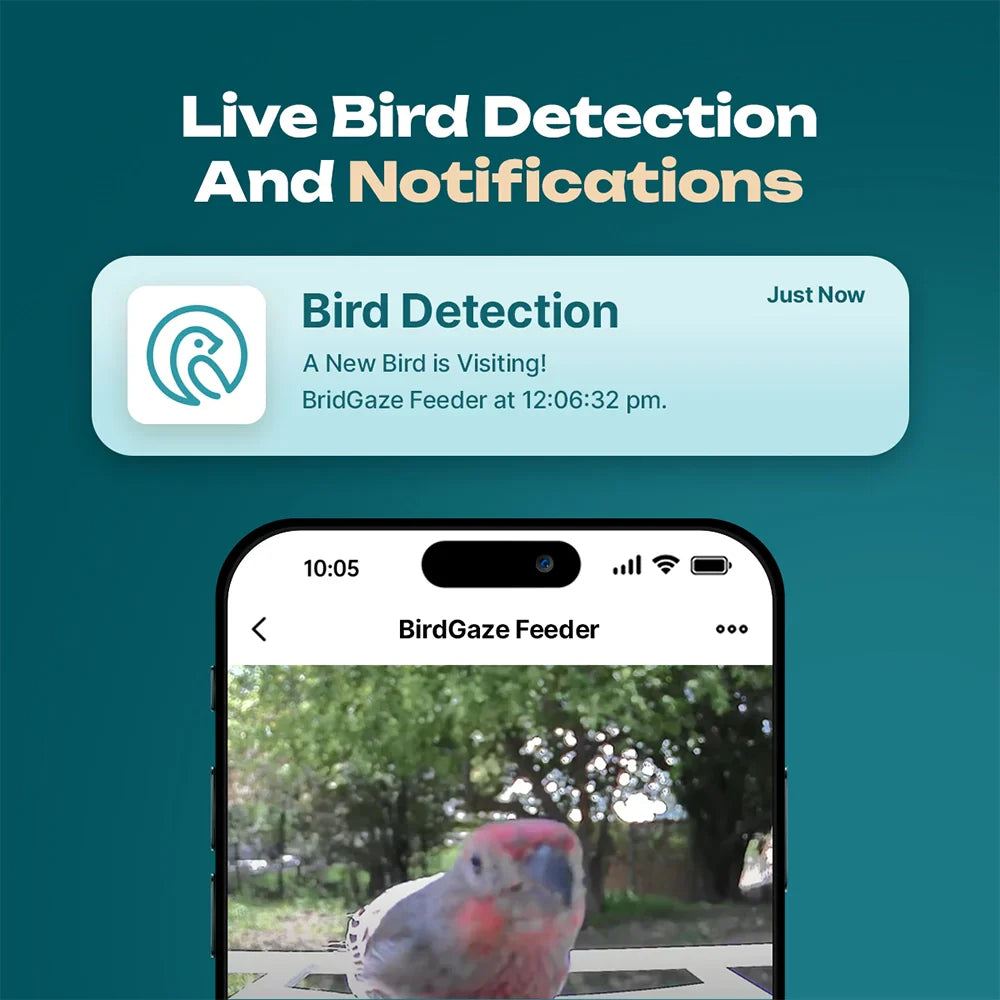 BirdView Smart Foder | Kontakt med naturen som aldrig før-zarada.dk
