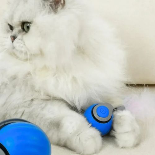 PurrPlay Interaktive Rullende Bold | Smart sjov for dine pelsede venner-zarada.dk