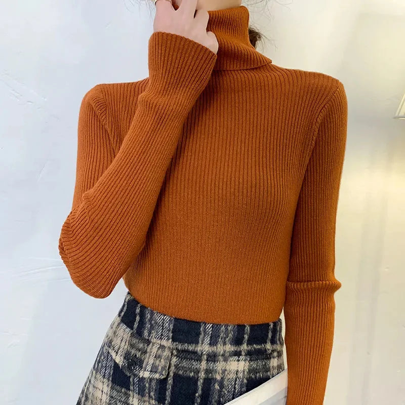 Anouschka | Blød Turtleneck til Kvinder