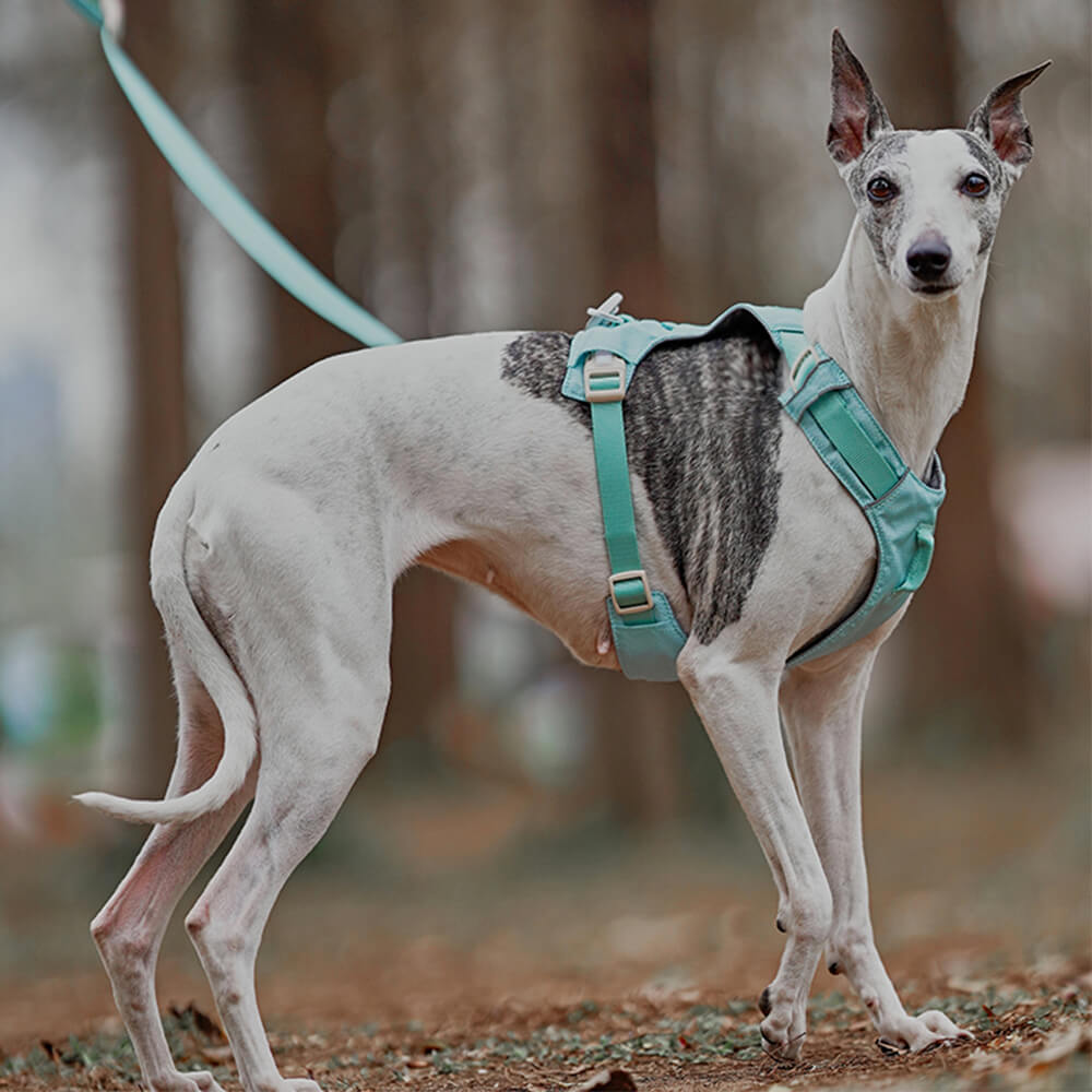 Anti-Træk Hundesele med Multifunktionel Snor til Gåture