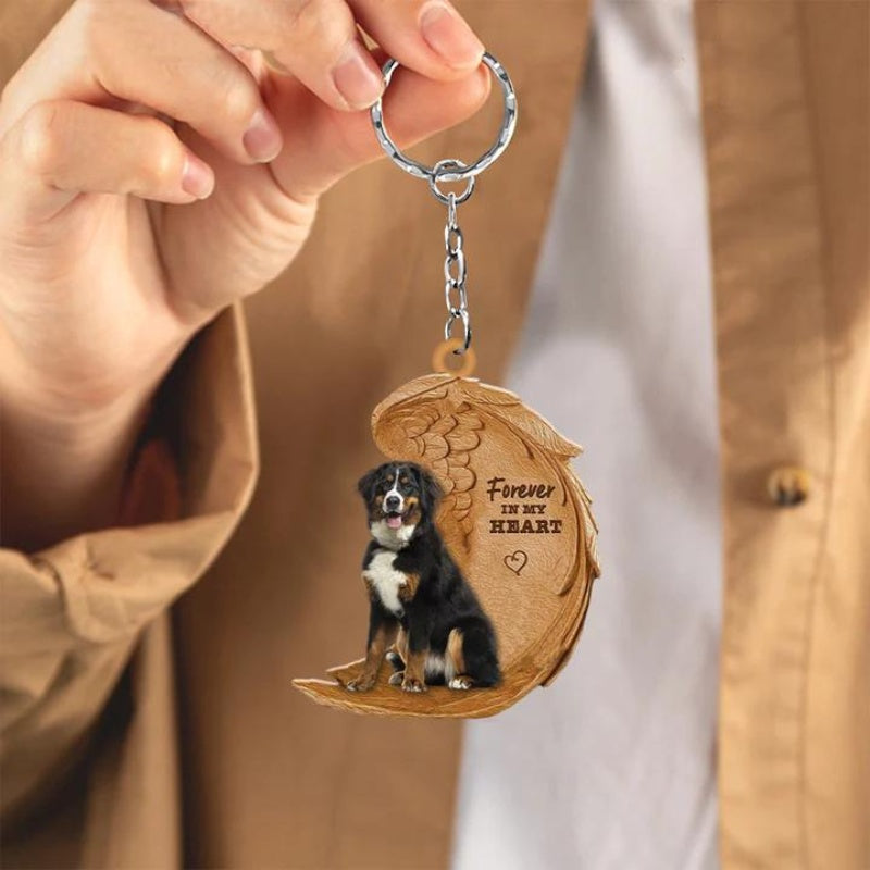 Appenzeller Hund | For Altid i Mit Hjerte