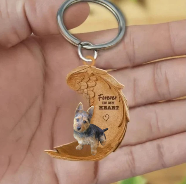 Australsk terrier 3 | For Evigt i Mit Hjerte
