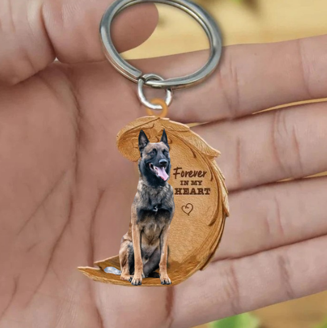 Belgisk Hyrdehund | For Altid i Mit Hjerte