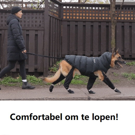 Beskyt din Hundefødder: Opdag Hundefodtøj der Virker!