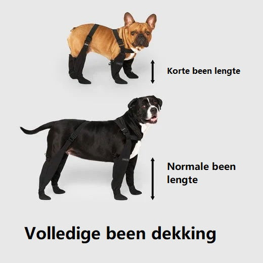Beskyt din Hundefødder: Opdag Hundefodtøj der Virker!