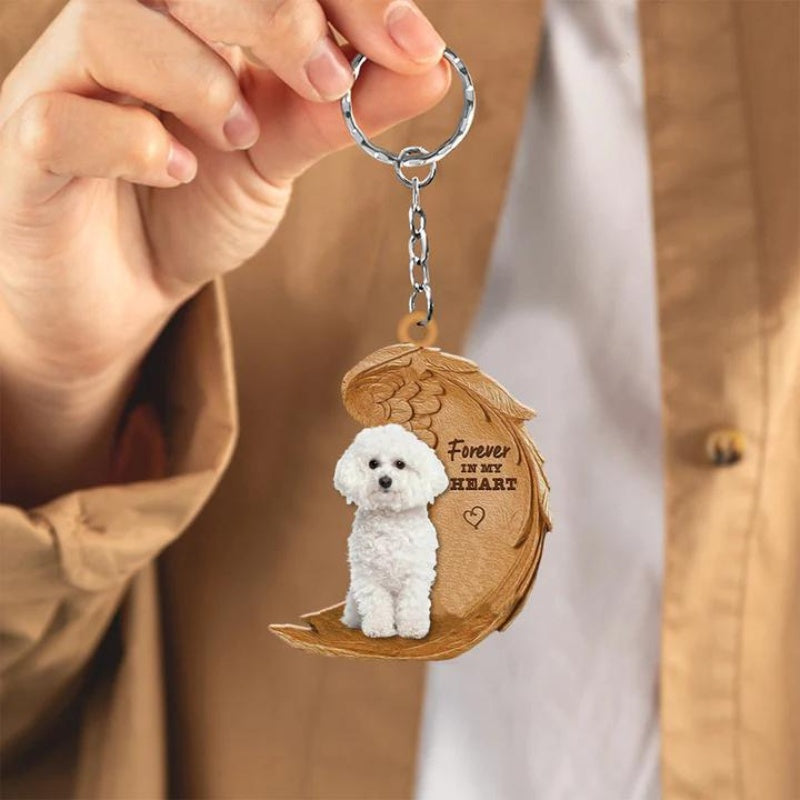 Bichon Frise | For Altid i Mit Hjerte