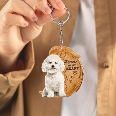 Bichon Frise | For Altid i Mit Hjerte