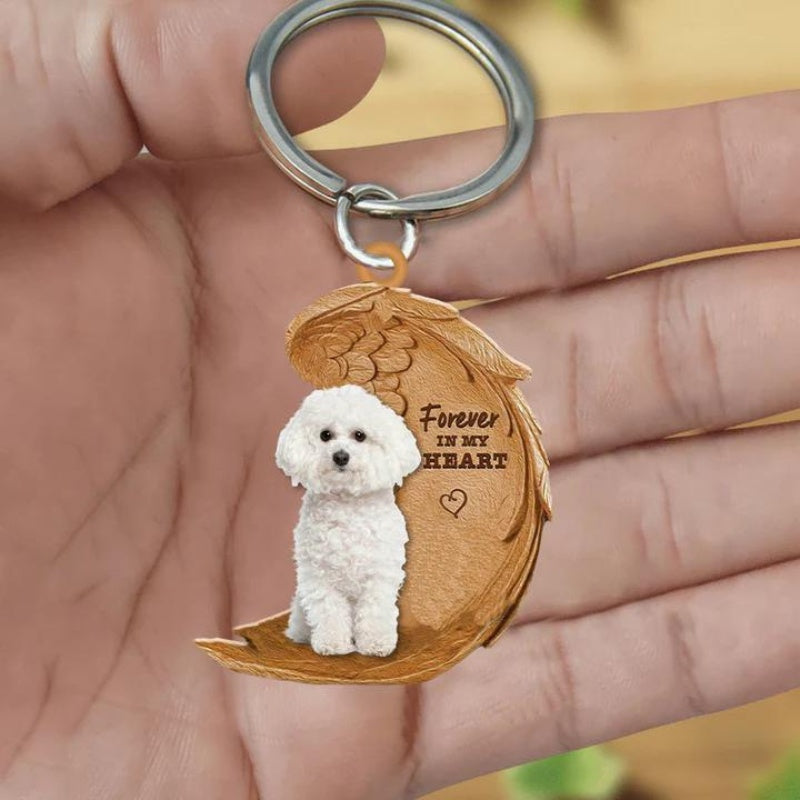 Bichon Frise | For Altid i Mit Hjerte