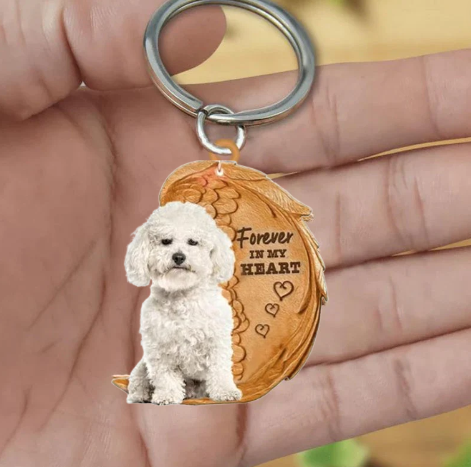 Bichon Frise | For Altid i Mit Hjerte