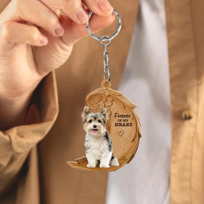 Biewer Yorkshire Terrier | For Altid i Mit Hjerte