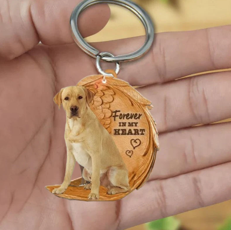 Blond Labrador | For Evigt i Mit Hjerte