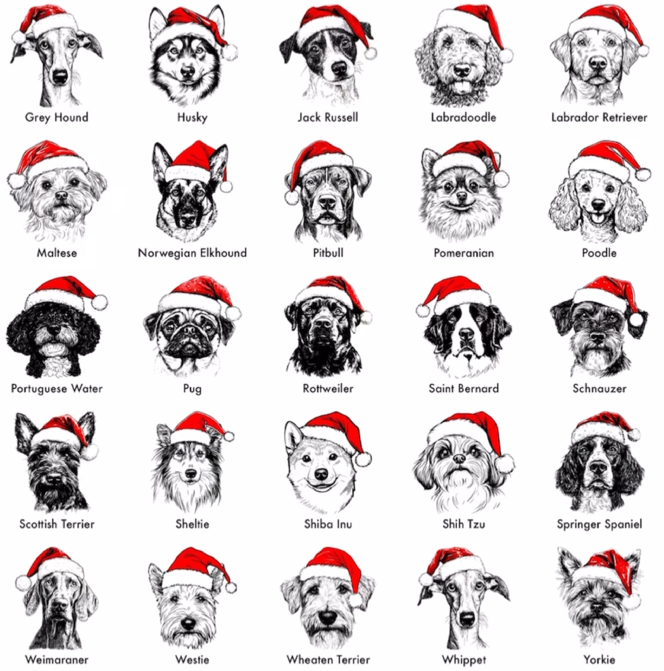 Santa Paws | Komfortabel unik julesweater med din hund