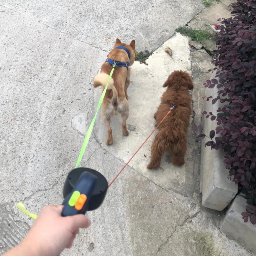 PetPair Snor | Dobbelt Indtrækbar Pet Snor med LED Lys-zarada.dk