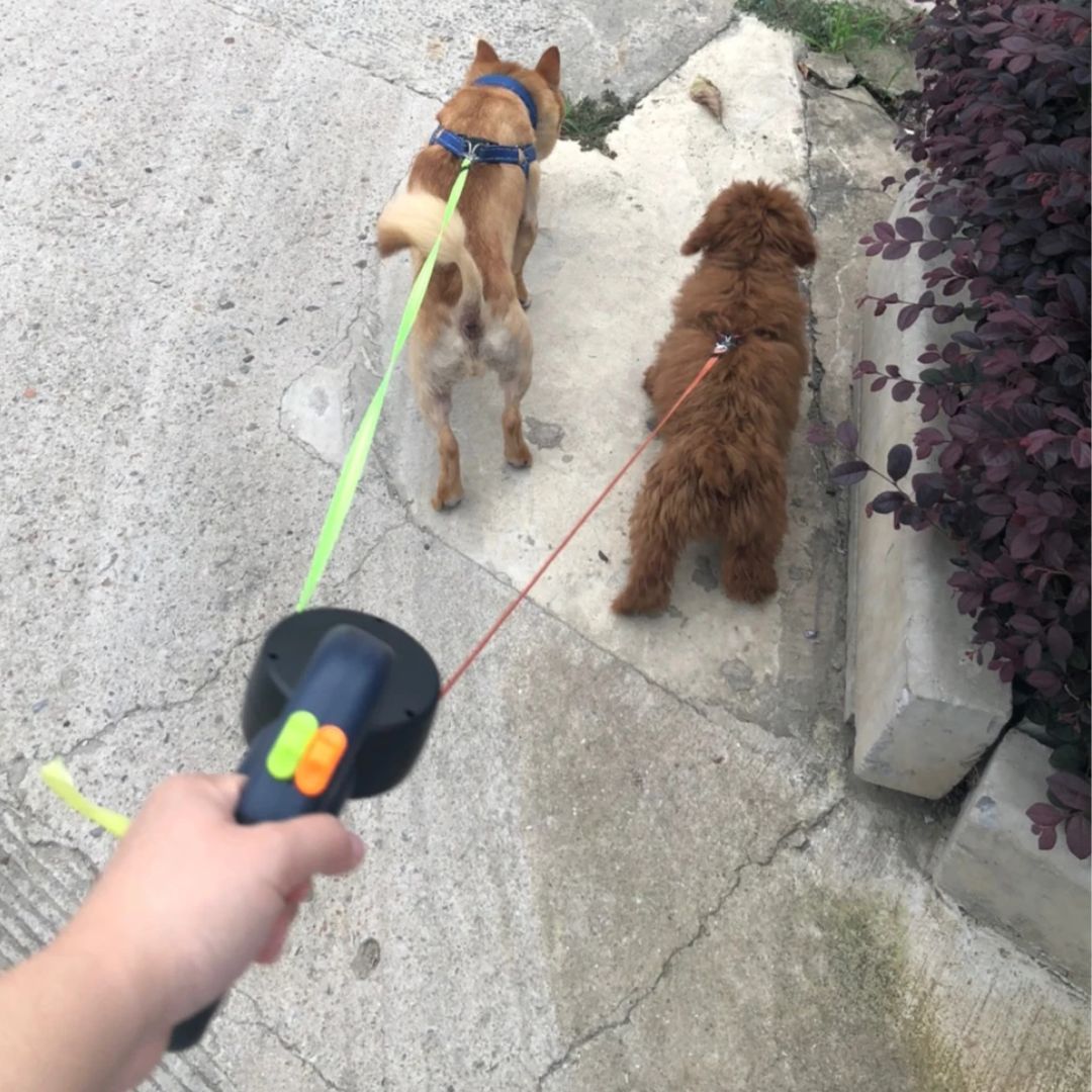 Dobbelt Hundesnor med Lommelygte og Affaldsposer Holder