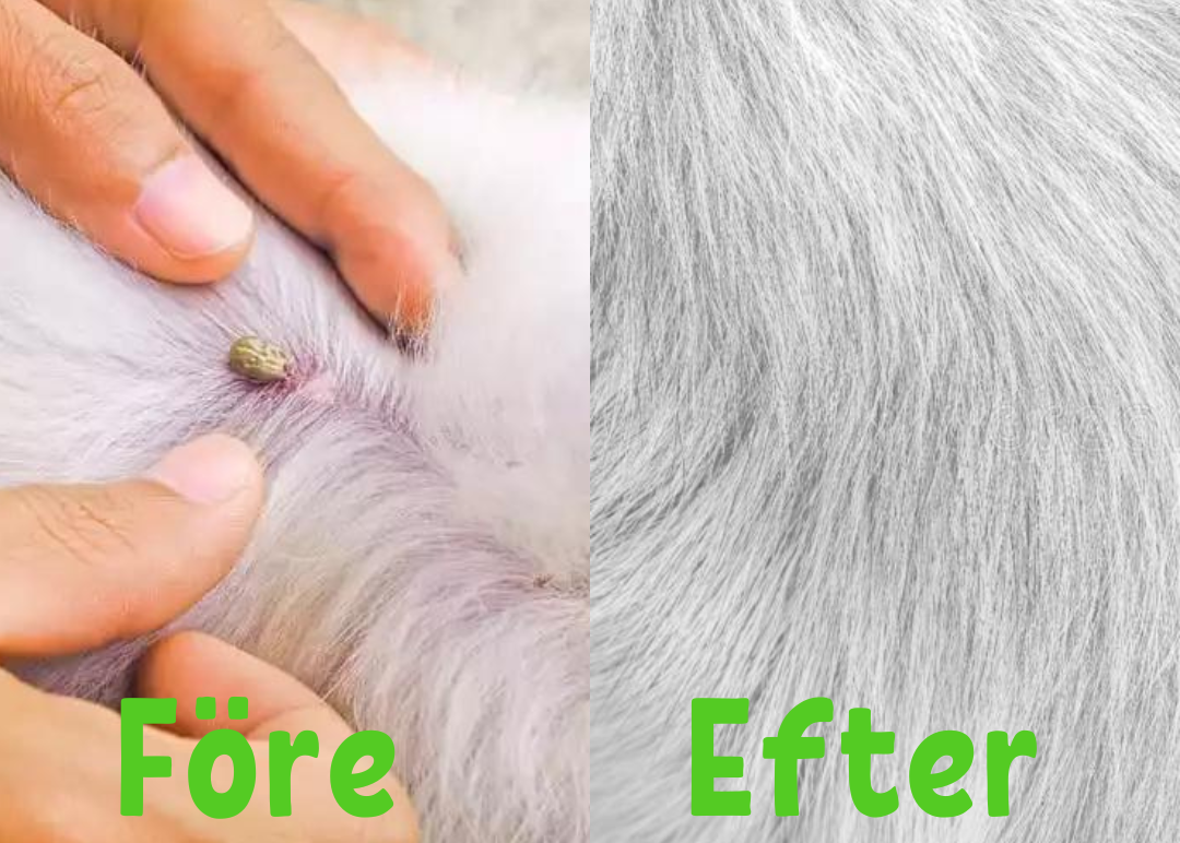 PetGuard | Multi-Beskyttelse Halsbånd mod Lopper og Flåter-zarada.dk