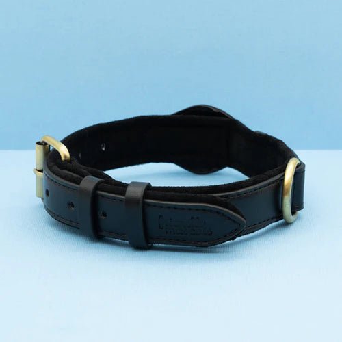 Hundehalsbånd Med AirTag Holder - Robust Og Vandtæt Design