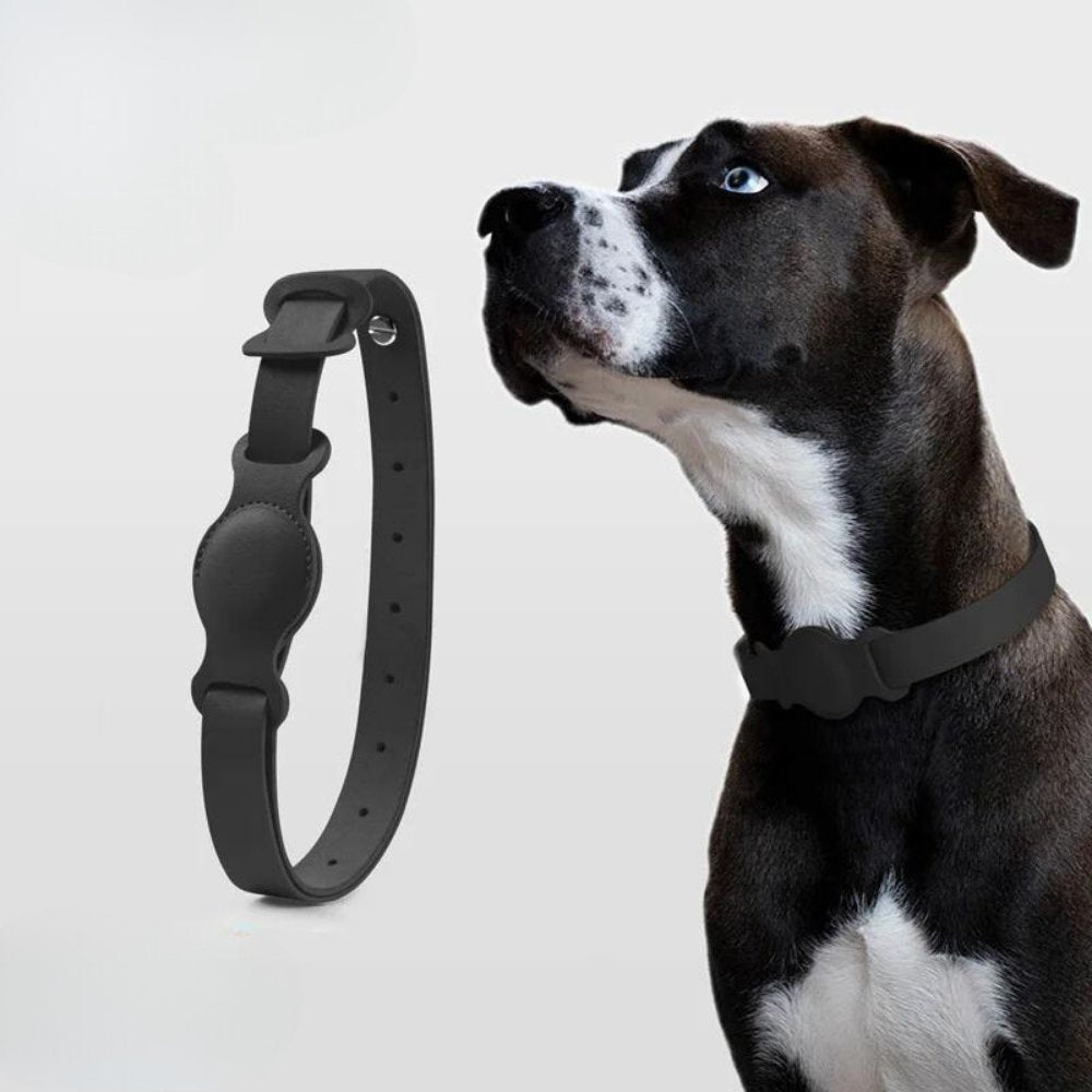 Hundehalsbånd med AirTag Design