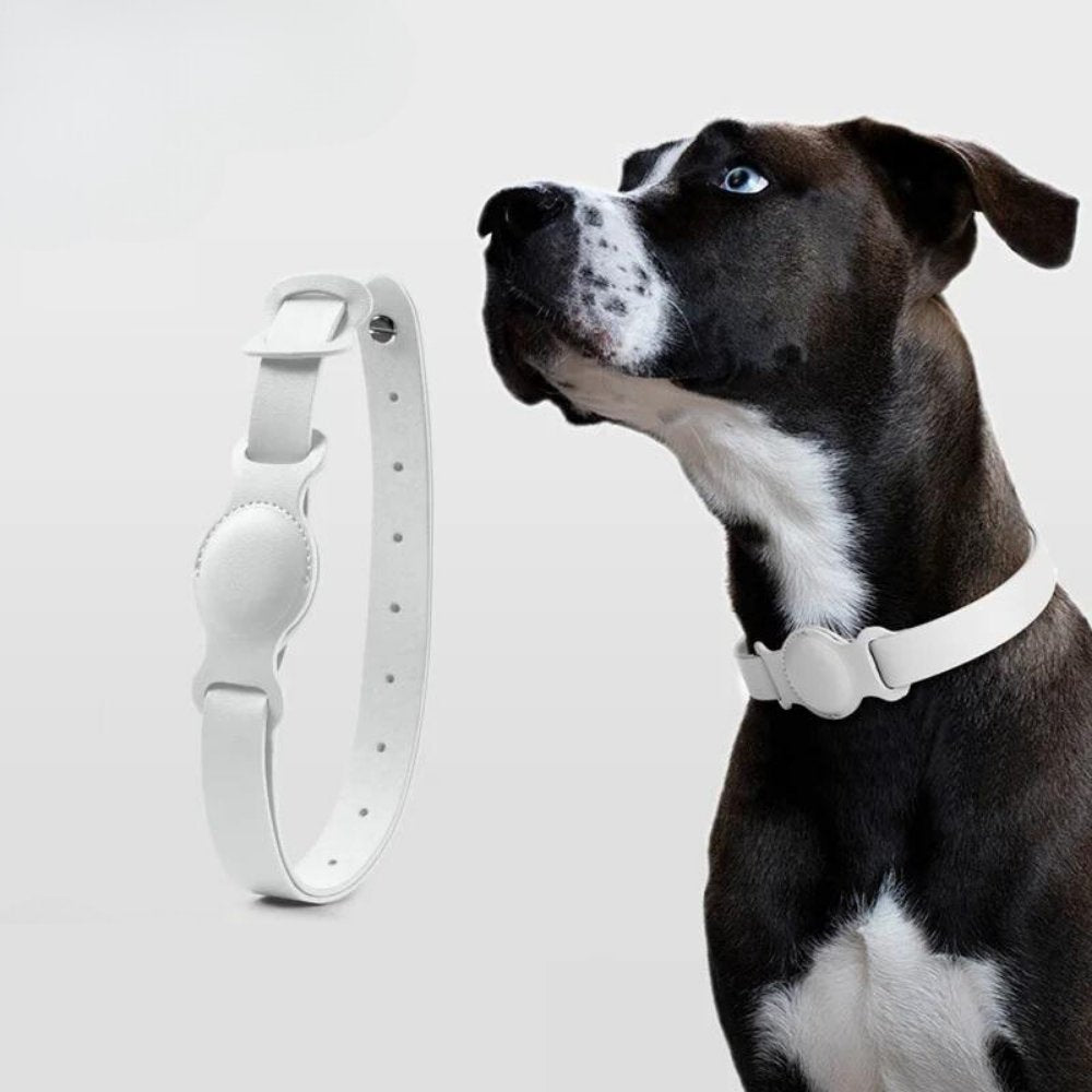 Hundehalsbånd med AirTag Design