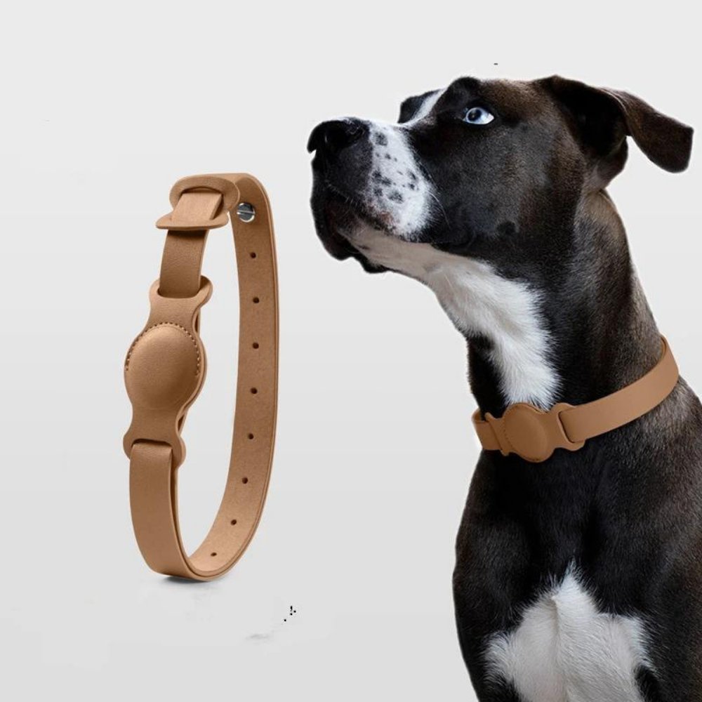 Hundehalsbånd med AirTag Design