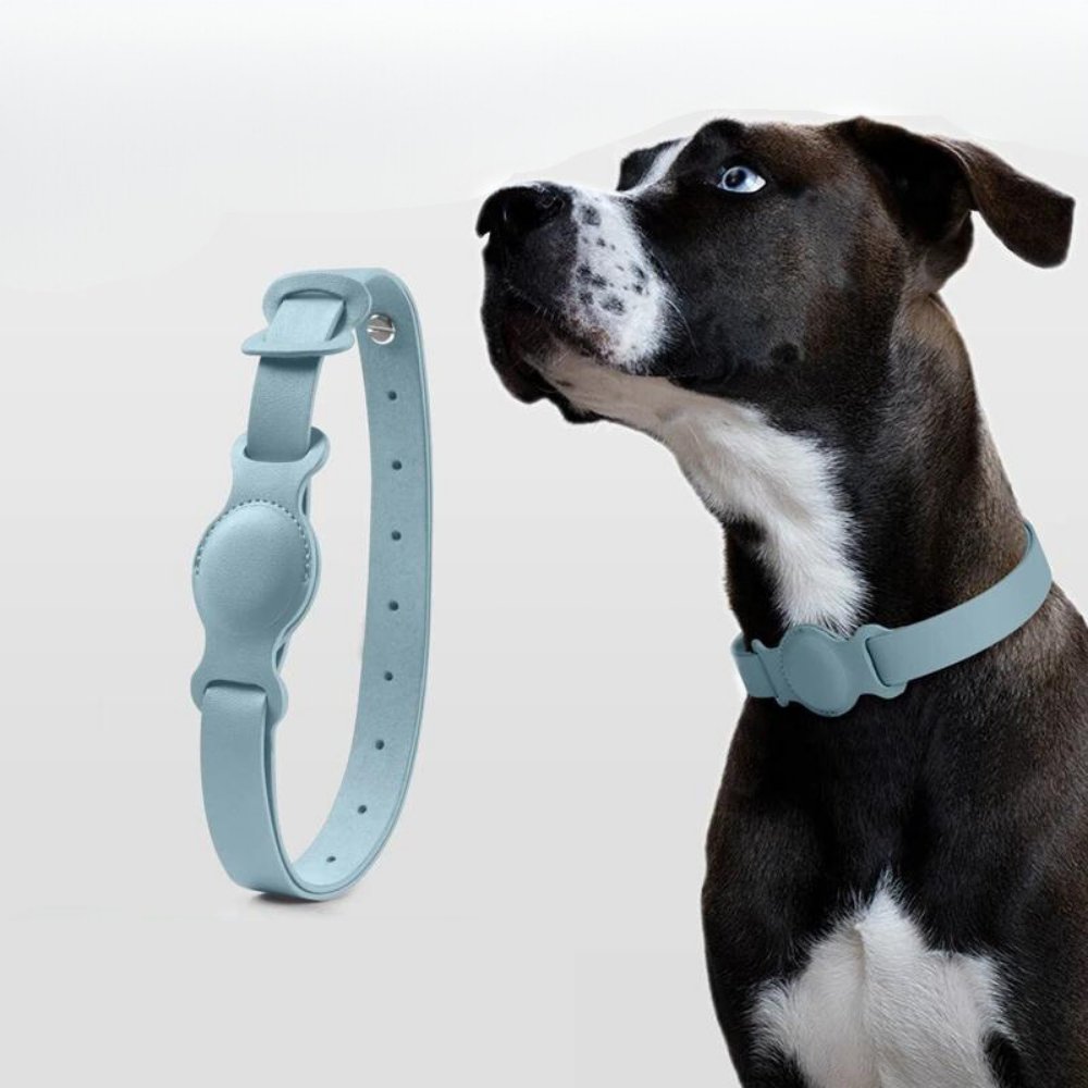 Hundehalsbånd med AirTag Design