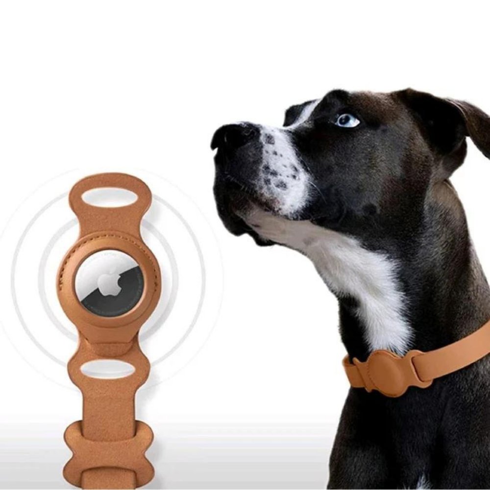Hundehalsbånd med AirTag Design