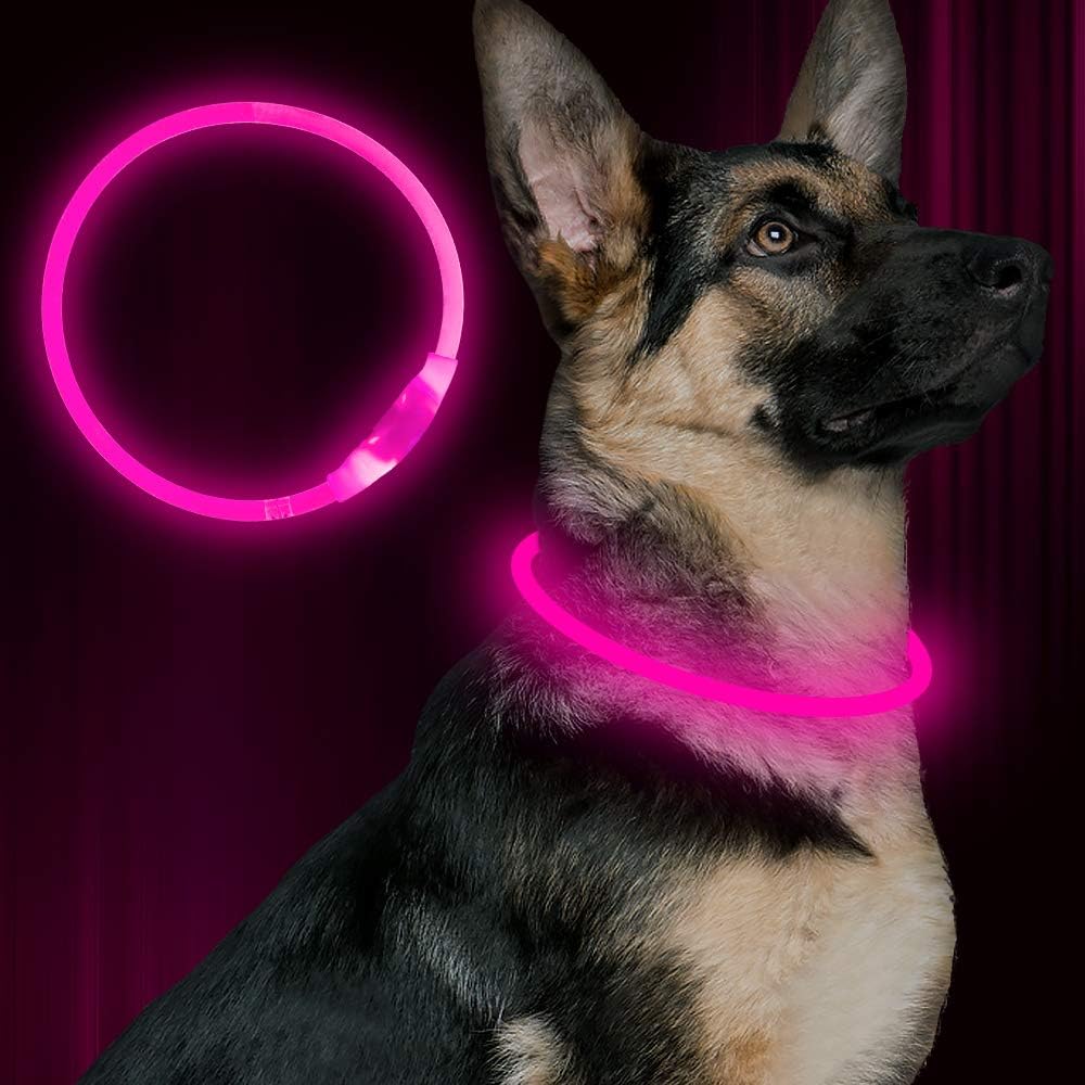 Hundehalsbånd med LED Lys til Sikkerhed