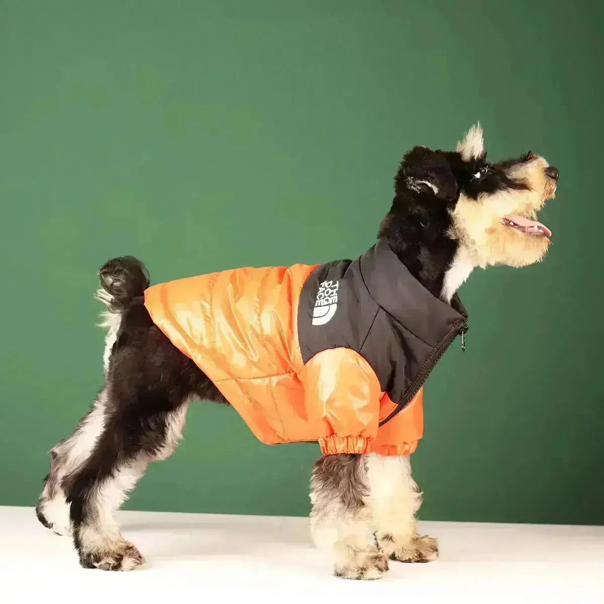 Hundejakke Vinter Pufdesign Med Lynlås