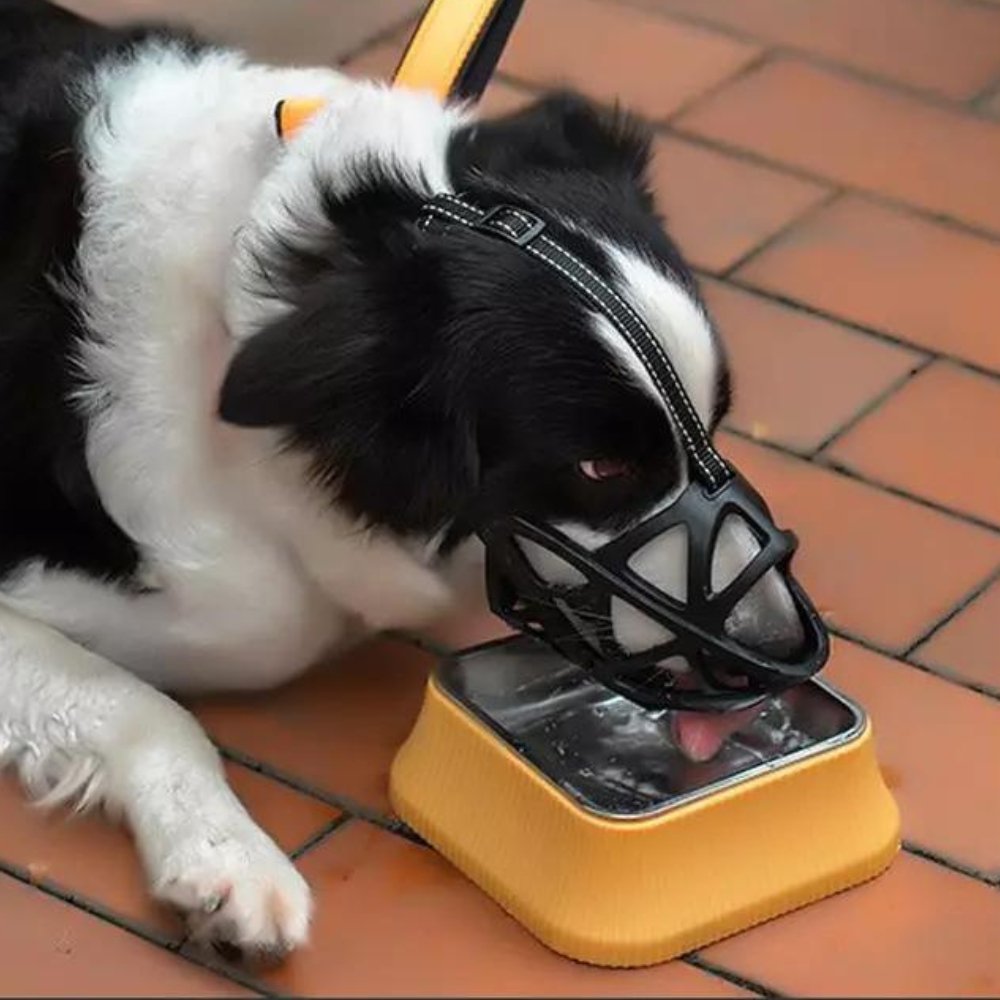 Hundemundkurv til Kontrol af Bid og Gøen