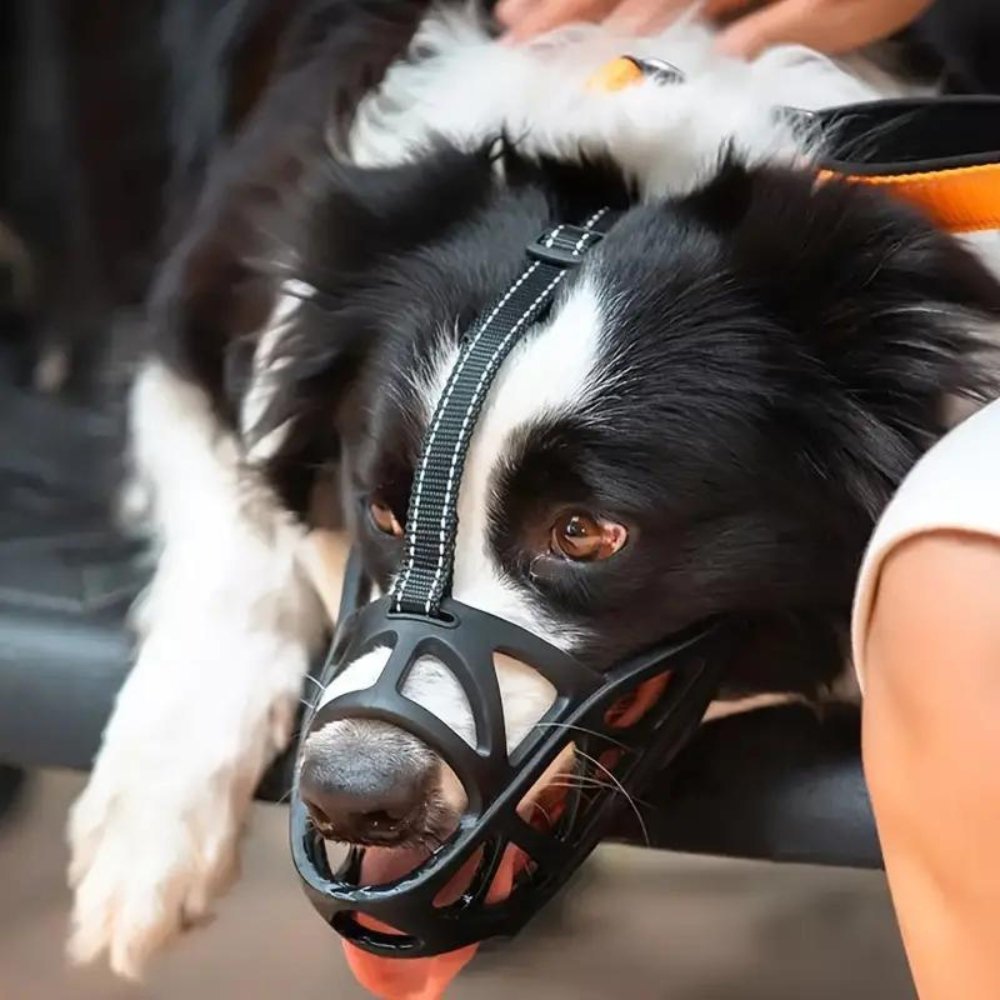 Hundemundkurv til Kontrol og Komfort