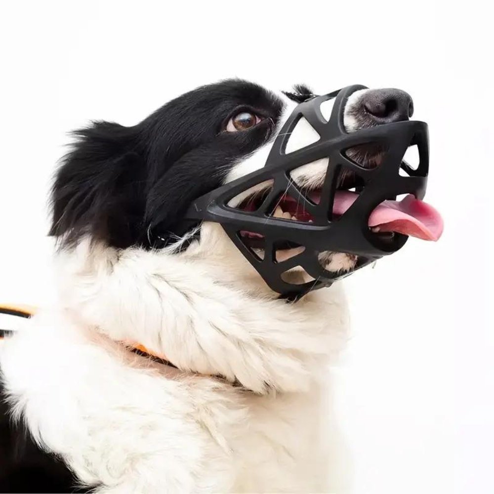 Hundemundkurv til Kontrol og Komfort