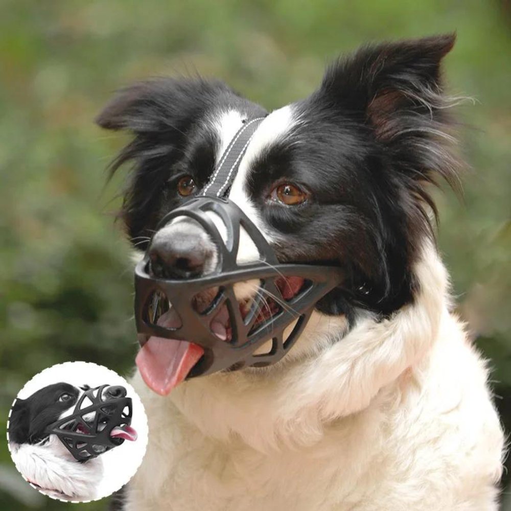 Hundemundkurv til Kontrol og Komfort