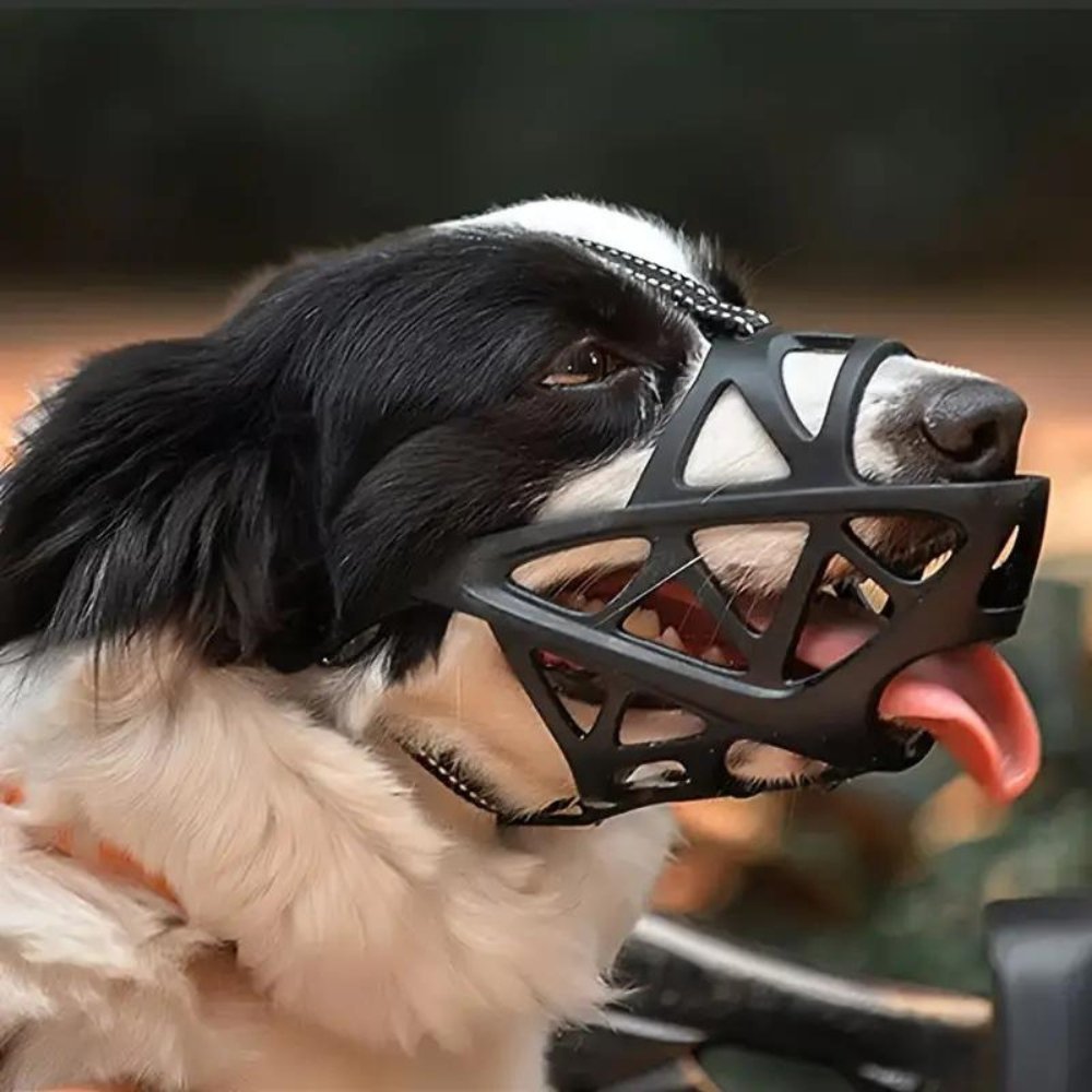 Hundemundkurv til Kontrol og Komfort