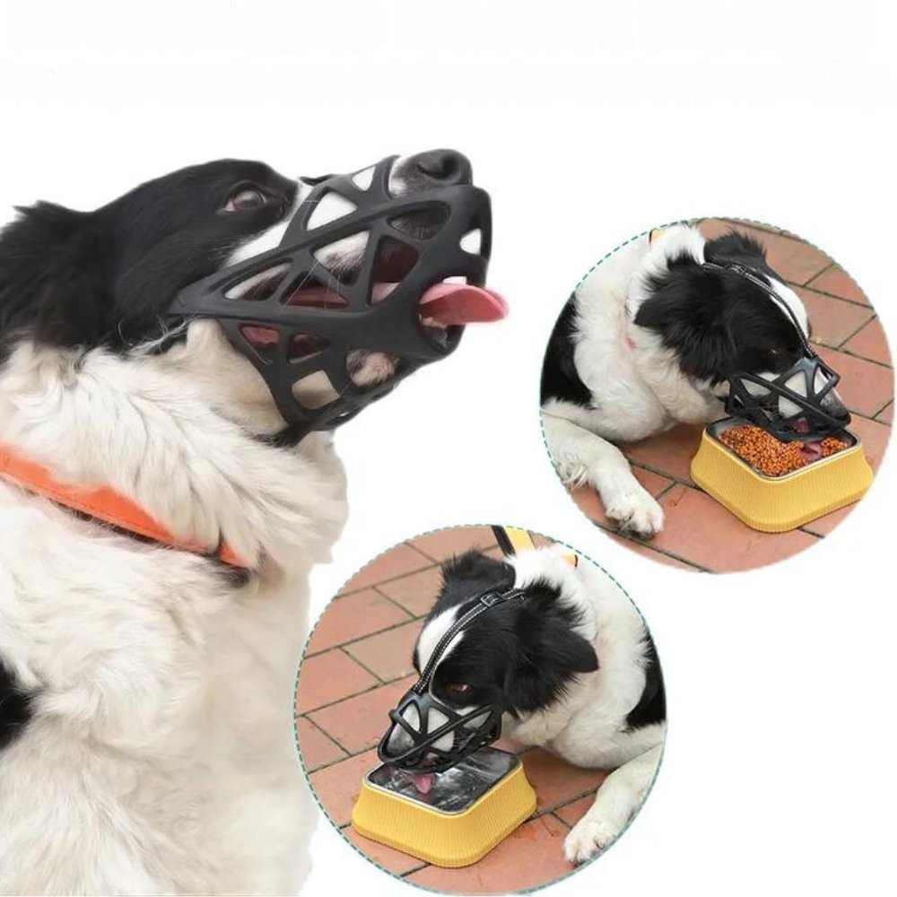 Hundemundkurv til Kontrol og Komfort