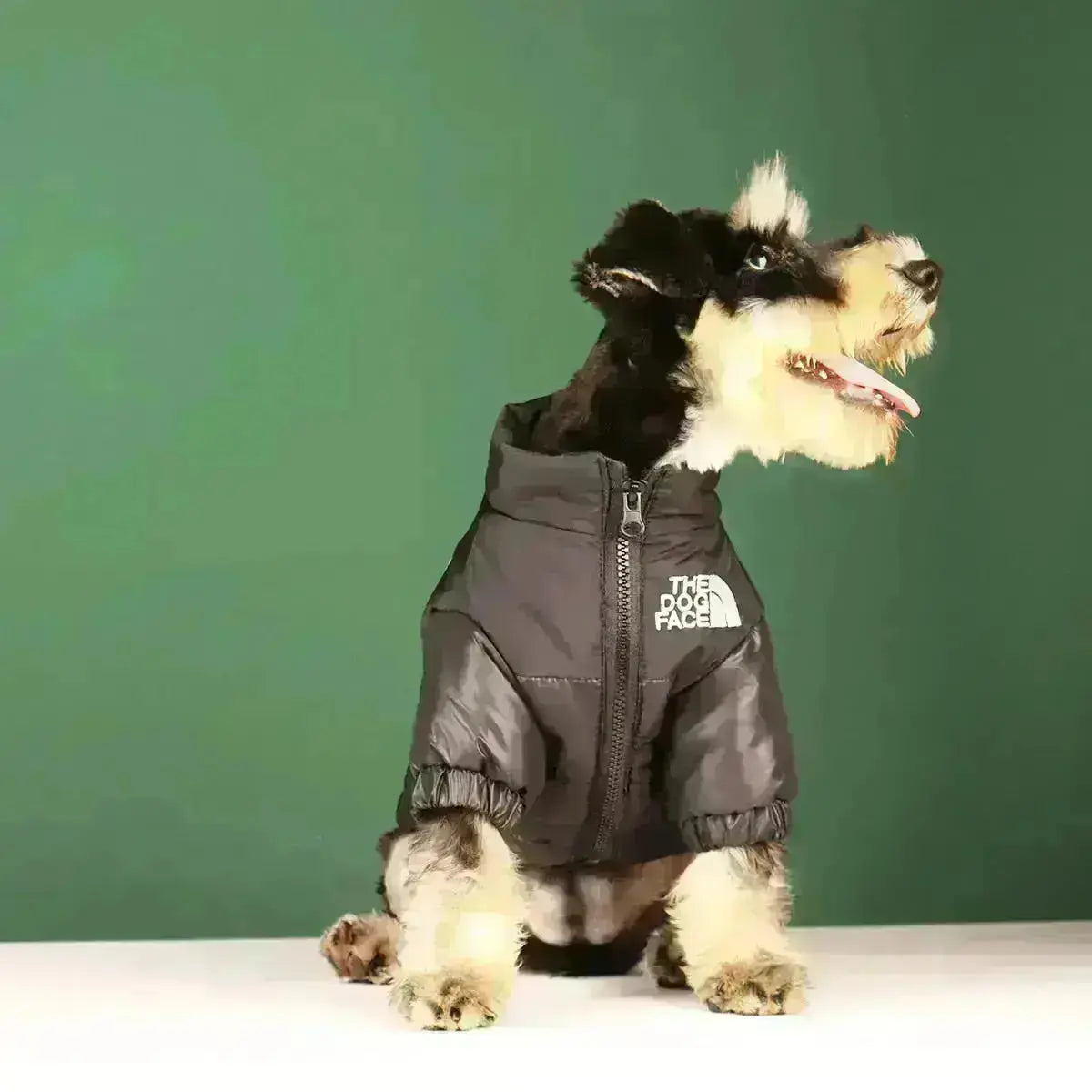 Hundens Vinterjakke Med Puf Design
