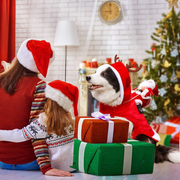 Hundetøj Juleoutfit Festligt Design til Hunde