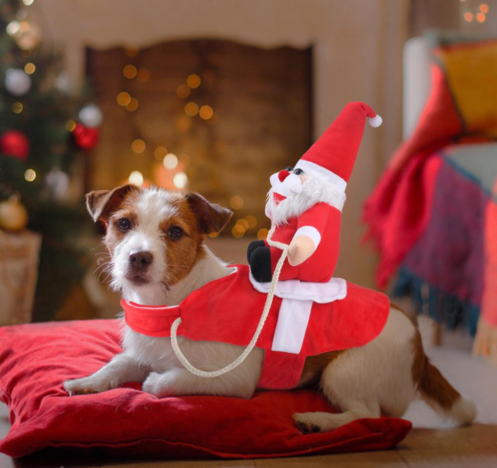 Hundetøj Juleoutfit Festligt Design til Hunde