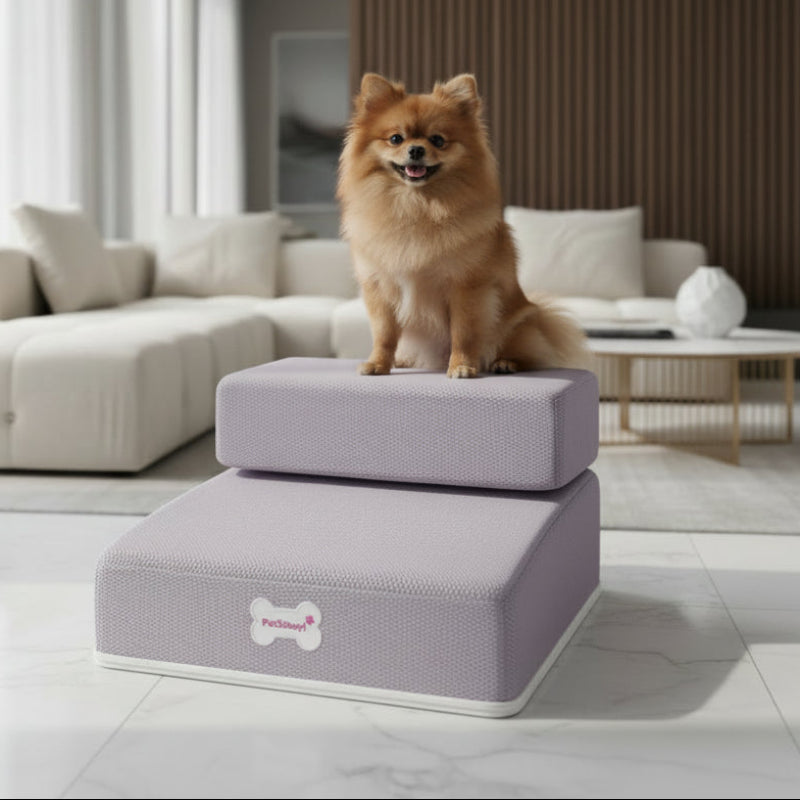 Hundetrin til Sofa og Seng