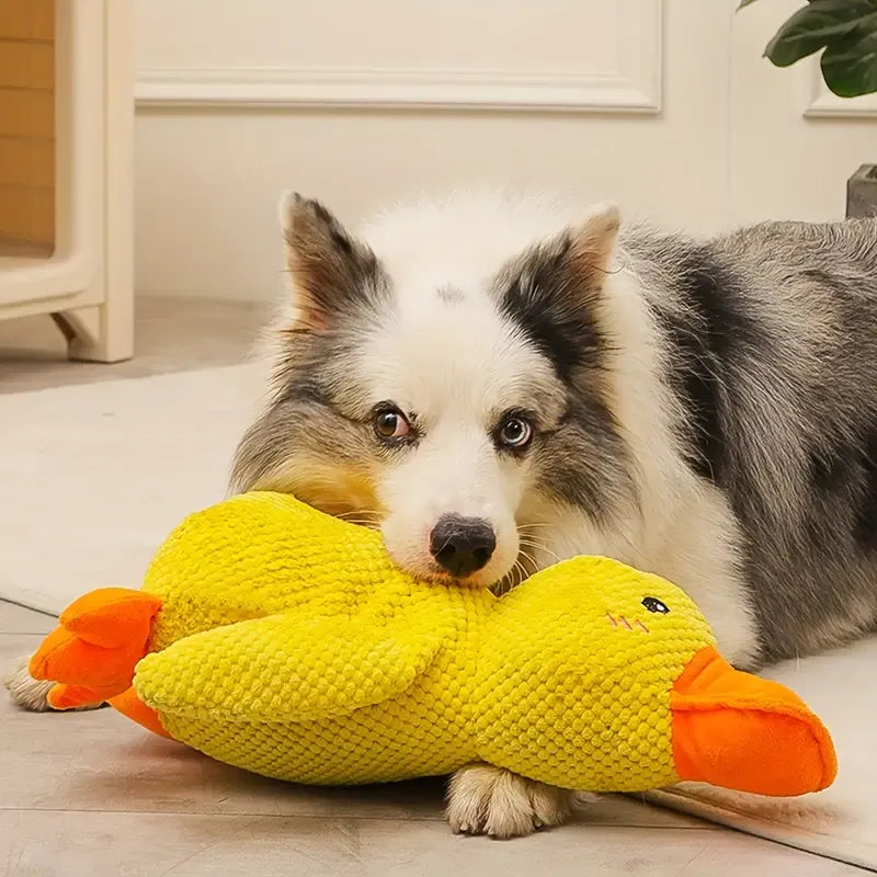 Interaktivt Hundelegetøj FlappyDuck med Lyde