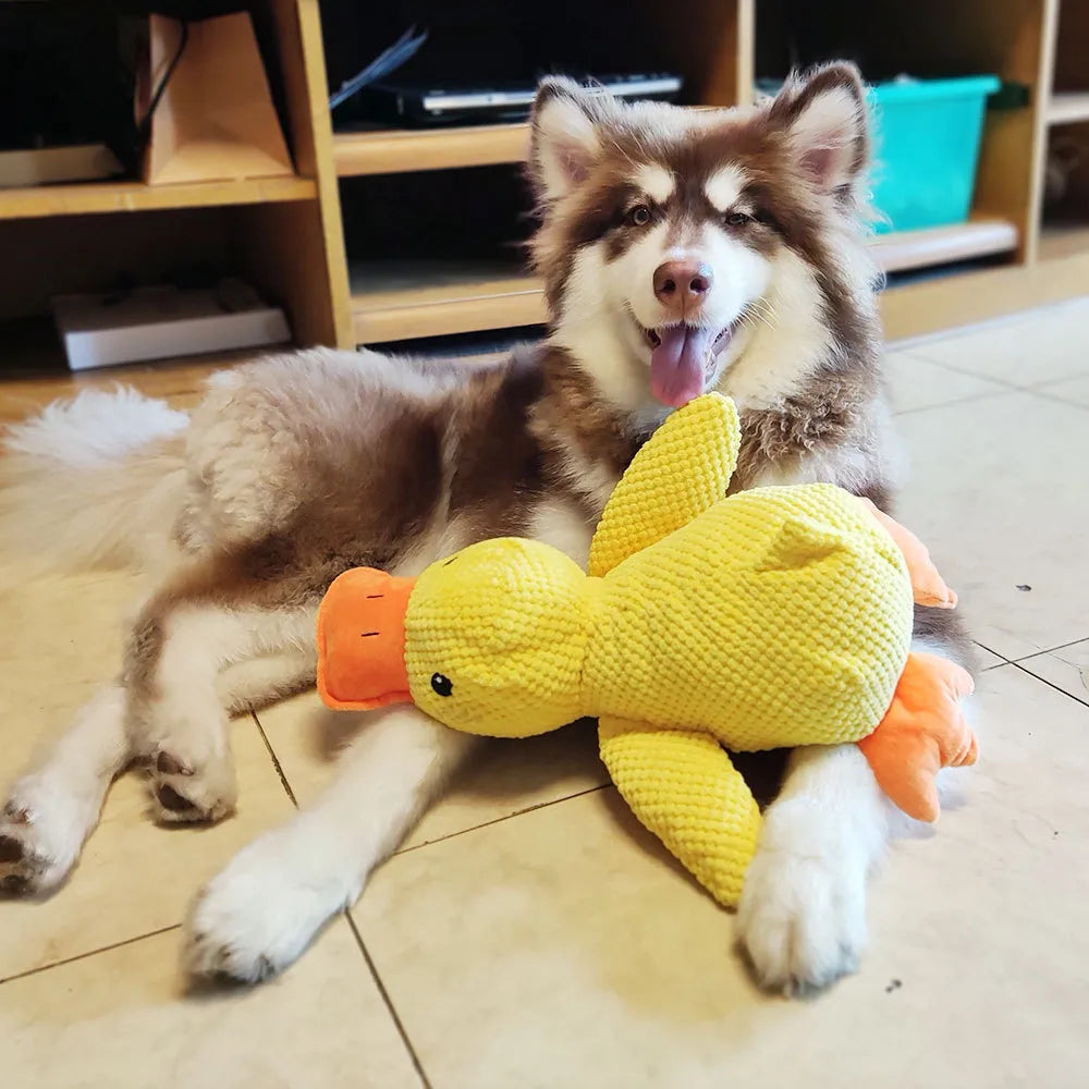 Interaktivt Hundelegetøj FlappyDuck med Lyde