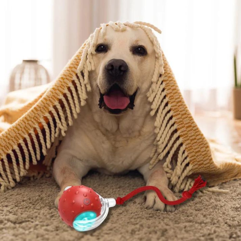 Interaktivt Hundelegetøj med Rullebold