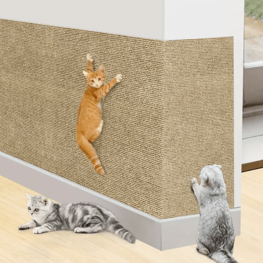 Katte Kradse Pude Holdbar Design til Møbler