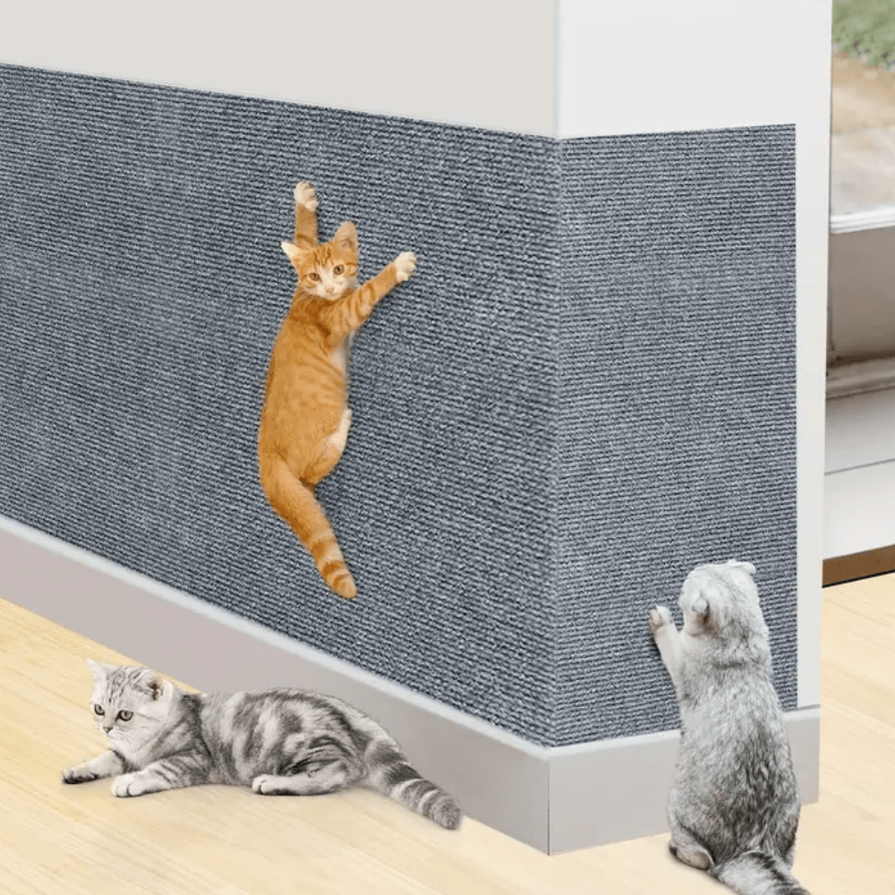 Katte Kradse Pude Holdbar Design til Møbler