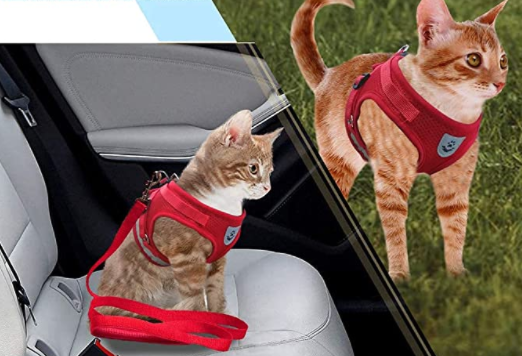 Kattesele Med Snor - AdventureKit til Sikker Gåture