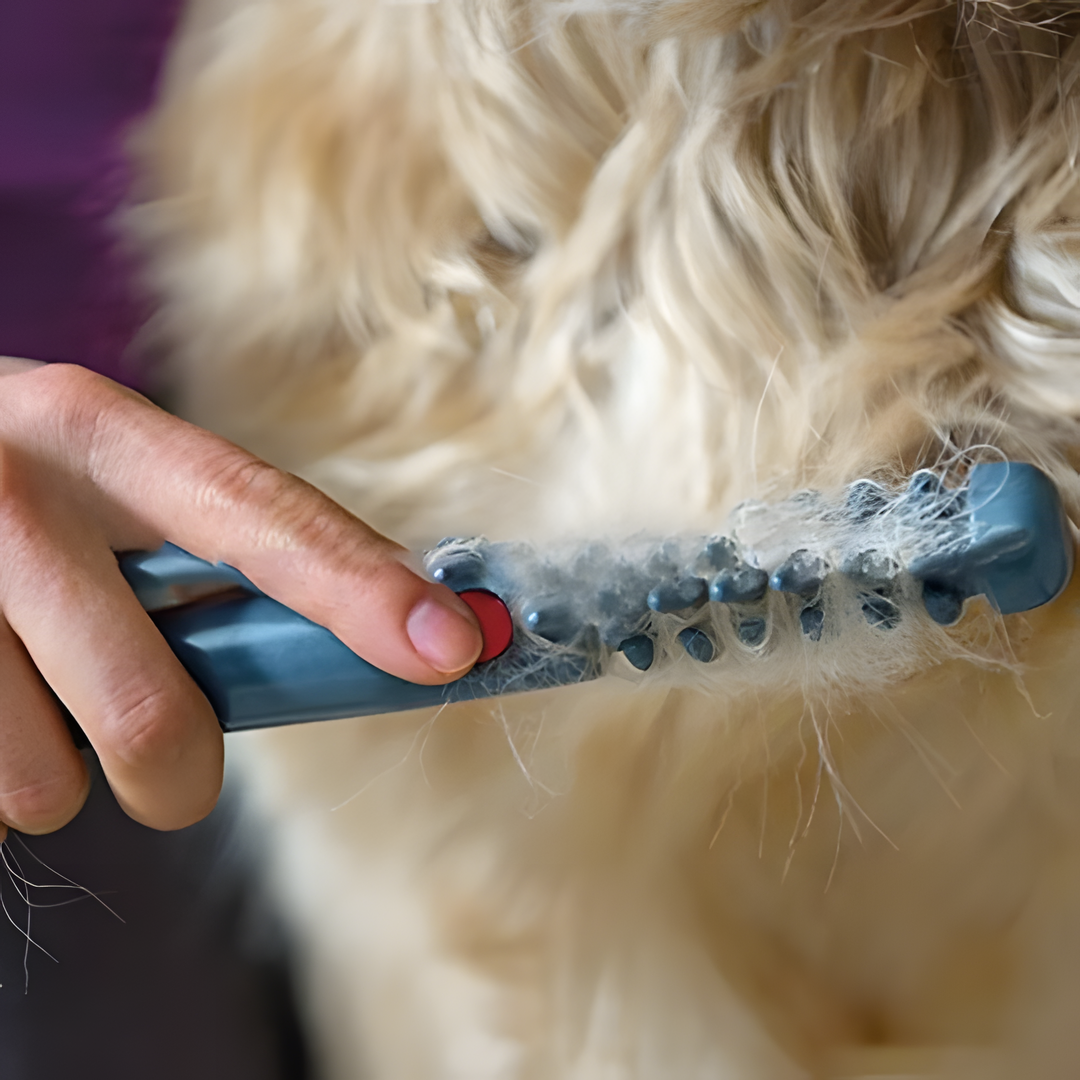 Pet Grooming Comb for Easy Detangling